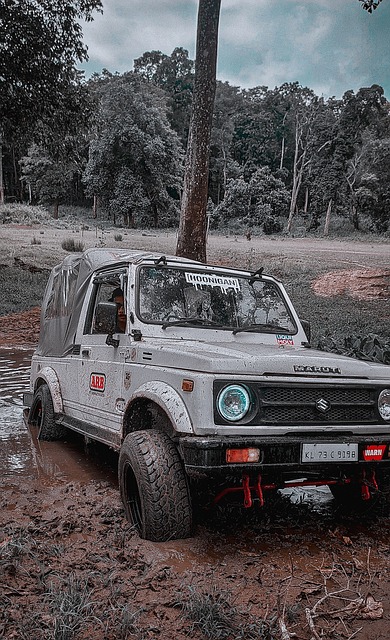 入的时代 入的时代