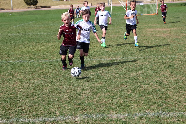 份名单中的 份名单中的